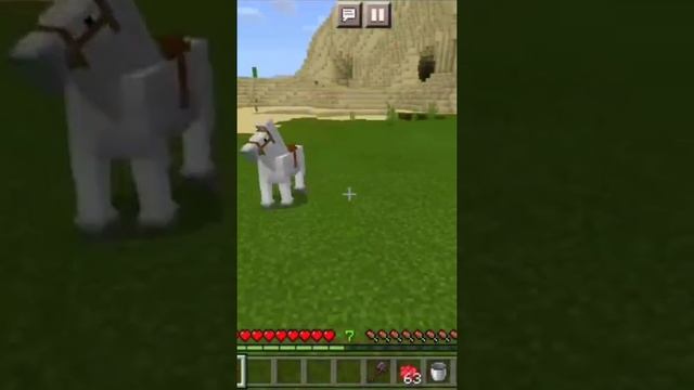 Minecraft Tips & Tricks #1 || Make Colourful Horses || MCPE INDIA #HINDI #shorts смотреть онлайн