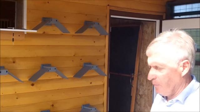 Знакомство с голубятней, секреты и тонкости голубятни... смотреть онлайн