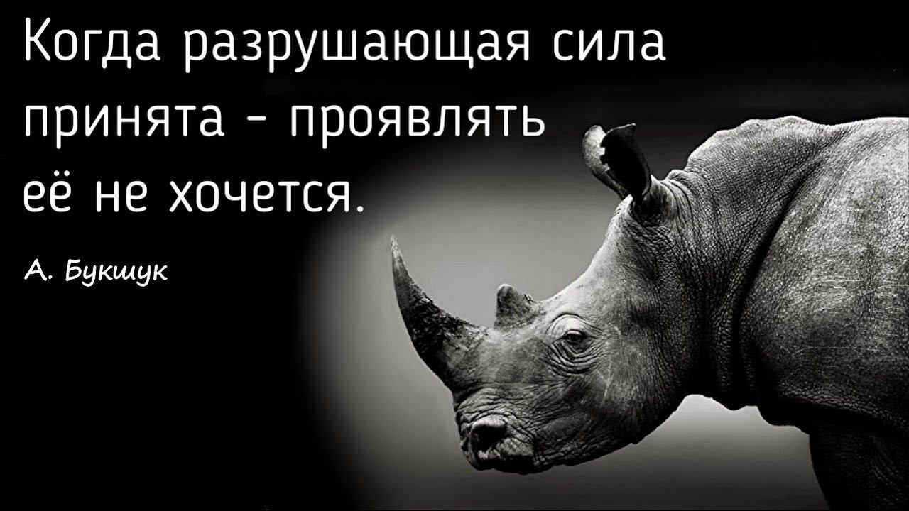 Ревность и алкоголь | Травма, изгой и непринятая сила | Агрессия и обида | Сессия с психологом смотреть онлайн