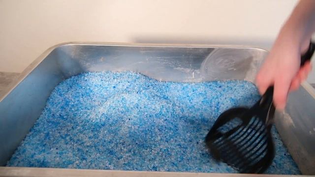 Top 5 Best Cat Litter Scoops (We Tested Them All) смотреть онлайн