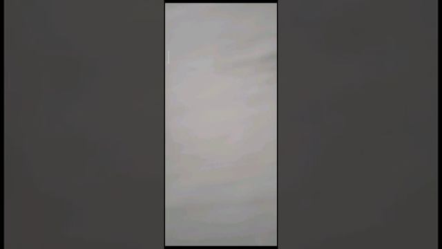 Что такое другое в памяти телефона и как удалить смотреть онлайн
