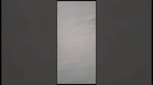 Что такое другое в памяти телефона и как удалить