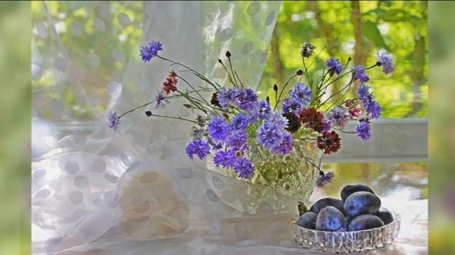 Летнее окно. Музыка Сергея Чекалина "Июльский вечер". смотреть онлайн