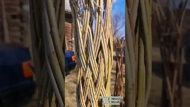 Не жалеть!!! Подрезка плетёных деревьев и плетёной изгороди. Ландшафтное плетение из ивовых прутьев смотреть онлайн