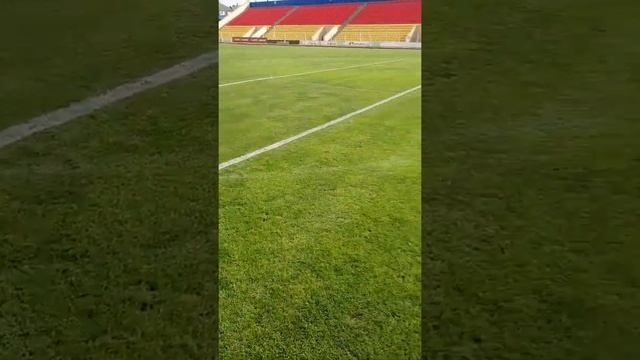 В центре футбольного поля штрафная))) смотреть онлайн