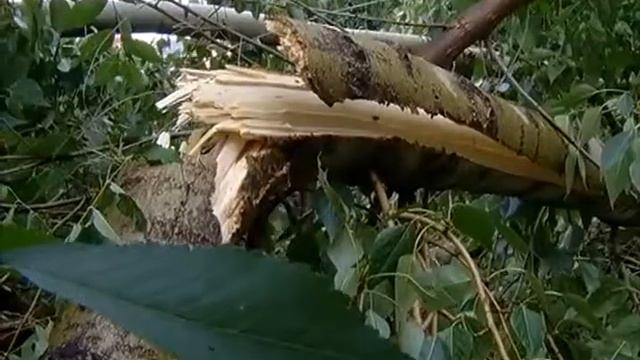 "История одной столицы. Абакан" - Тридцатые. Все в сад! смотреть онлайн