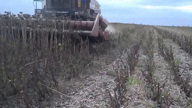 Полесье 812. Уборка подсолнечника смотреть онлайн