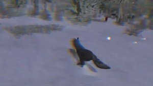 Никогда не играй в Wild Craft в 03:00 часа ночи.....