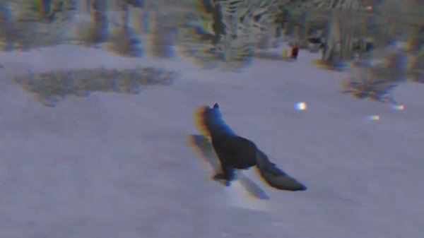 Никогда не играй в Wild Craft в 03:00 часа ночи.....