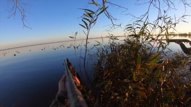 LOUISIANA Diver Duck Hunting (WE HUNTED OFF "THE TREE!") смотреть онлайн