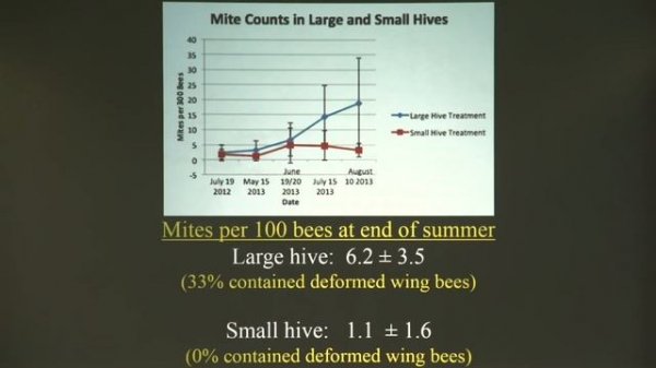 Honey Bees in the Wild - PART 2 - What do we know about how they live? by Tom Seeley