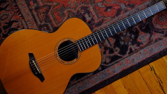 Baritone Guitar Vs. Standard Guitar - Why You Need A Baritone Acoustic Guitar