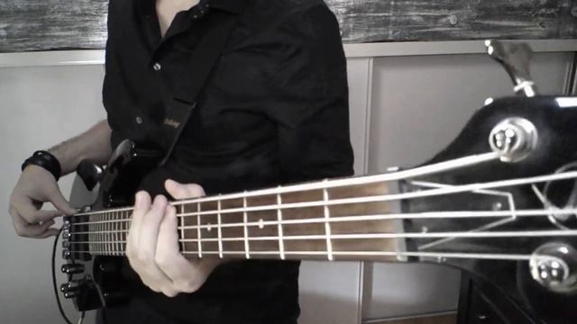 Rosso & Dry - SiM (Bass Cover) смотреть онлайн