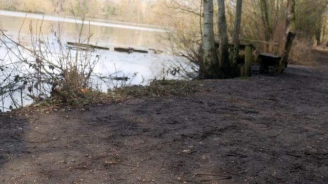 2021 Best Electric Scooter! OKAI ES500 ELECTRIC SCOOTER