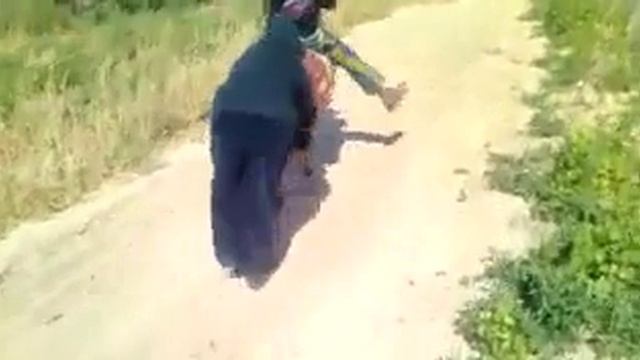 Осла заводят с талкача смотреть онлайн