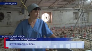 Развитие птицеводства в КФХ