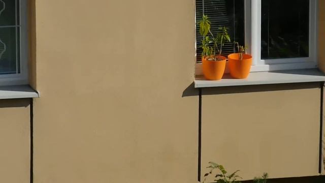 Nikon coolpix p-500 смотреть онлайн