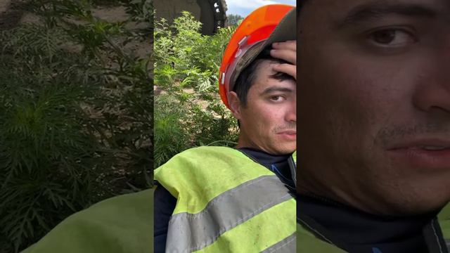 Анапа 32 й день работы смотреть онлайн