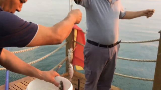 Ловим барабульку. смотреть онлайн