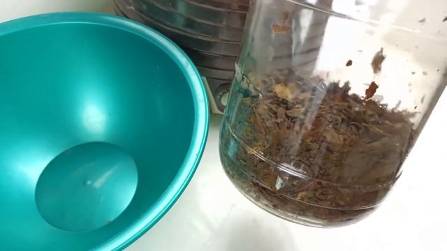 Ферментация листьев рябины - Rowan Leaf Fermentation