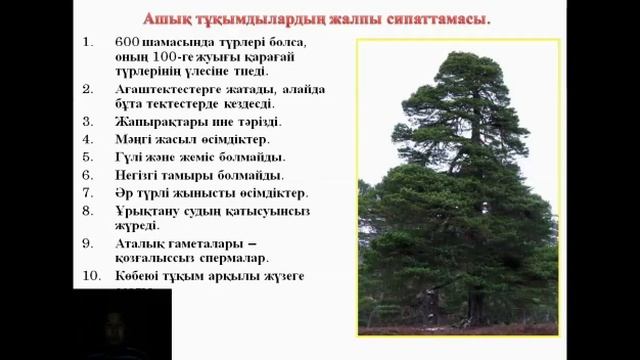 Ашық тұқымды және жабық тұқымды өсімдіктердің тіршілік циклы 8 сынып биология пәні смотреть онлайн