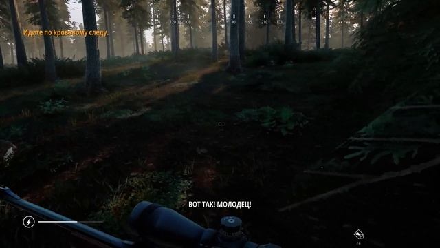 [ПЕРВЫЙ ВЗГЛЯД] HUNTING SIMULATOR 2 смотреть онлайн