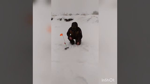 10 февраля 2021 г.