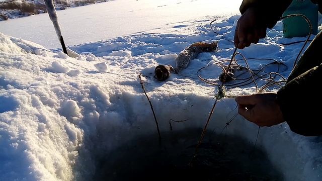 Перемет, проверка 16.12.2022г. смотреть онлайн