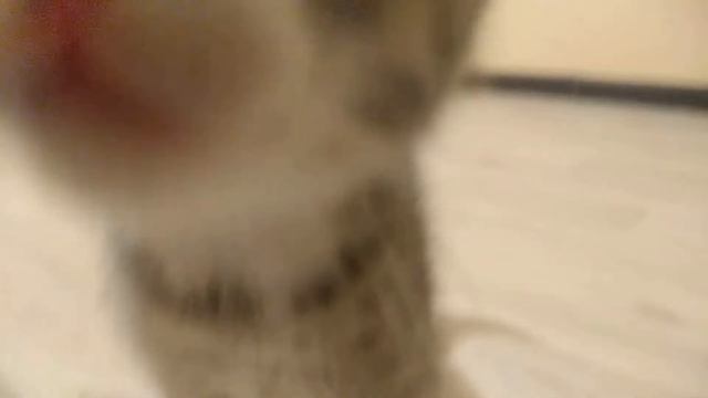 Вся такая деловая) смотреть онлайн