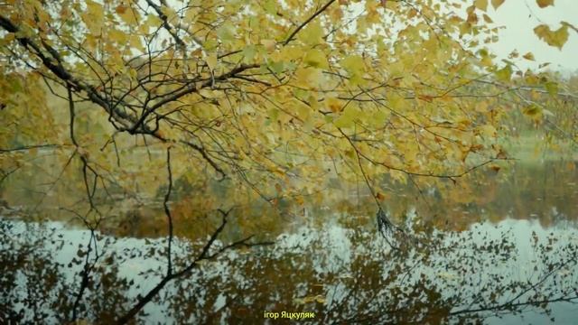 Золото осені. Музика для душі. Autumn gold. Soothing melody. смотреть онлайн