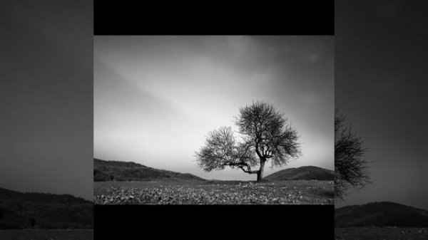 New Home (Slowed) (1 hour)