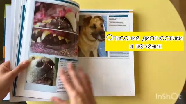 Атлас стоматологических патологий мелких домашних и экзотических животных смотреть онлайн