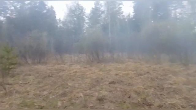 Пожары совсем рядом/ Тушим лесные пожары/ Бдительность на первом месте! смотреть онлайн