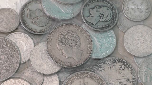 Сколько серебра ушло на гульдены смотреть онлайн