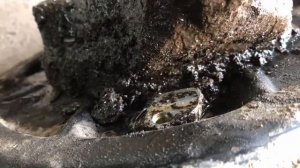 Замена заднего тормозного цилиндра Renault Duster