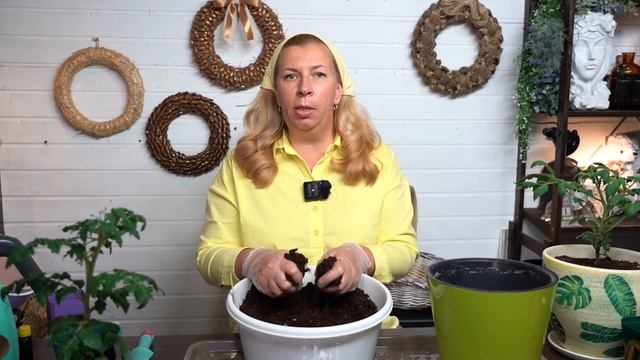 Зимний огород на старте! #огород #семена смотреть онлайн