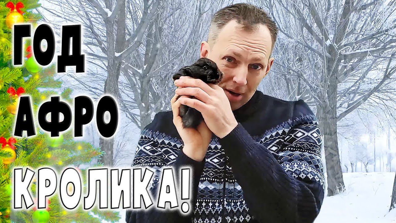 Год черного кролика! Поздравления от Фермера одиночки смотреть онлайн