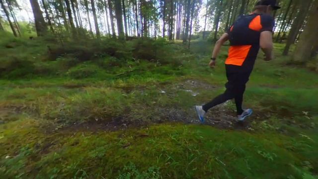 Nike React Pegasus Trail 4 Gore-Tex test in Forest смотреть онлайн