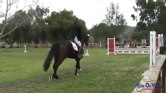 243S James Atkinson Open Novice Stadium Jumping Galway Downs February 2013 смотреть онлайн
