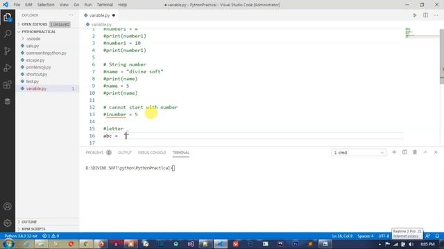 Variable in Python - Python Tutorial 13 | Basic To Advance | #divinesoft смотреть онлайн