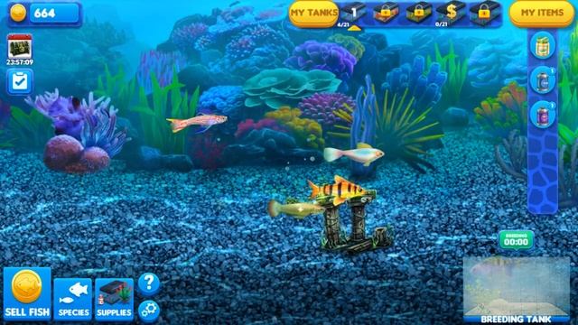 Fish Tycoon 2 (PC Gameplay) HD смотреть онлайн