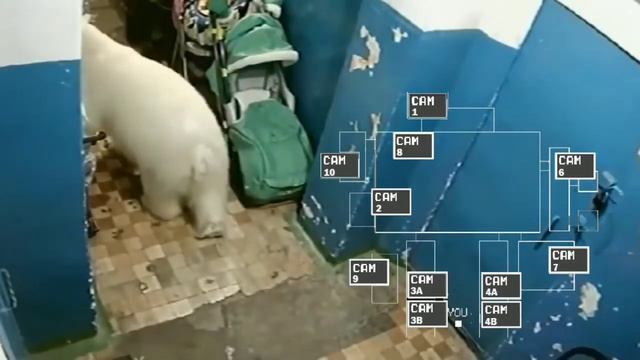 5 ночей в подъезде (3) ночь. смотреть онлайн