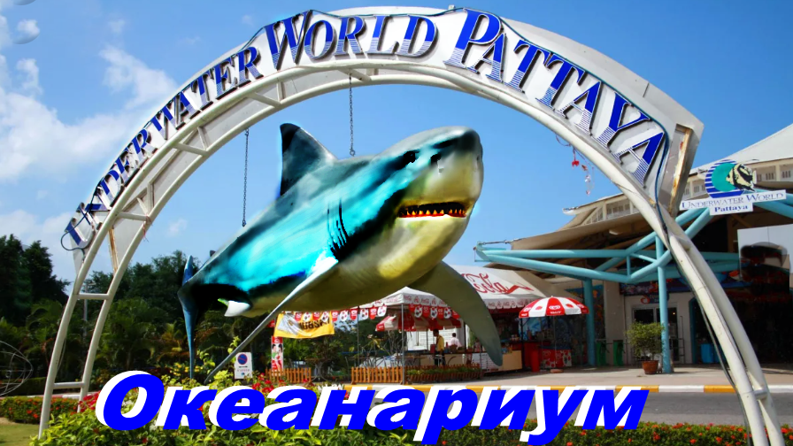 Океанариум -Таиланд-экскурсия . смотреть онлайн
