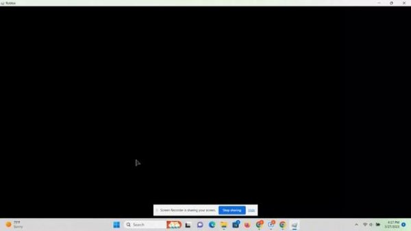 (Roblox randomizer) Giving away to a random person