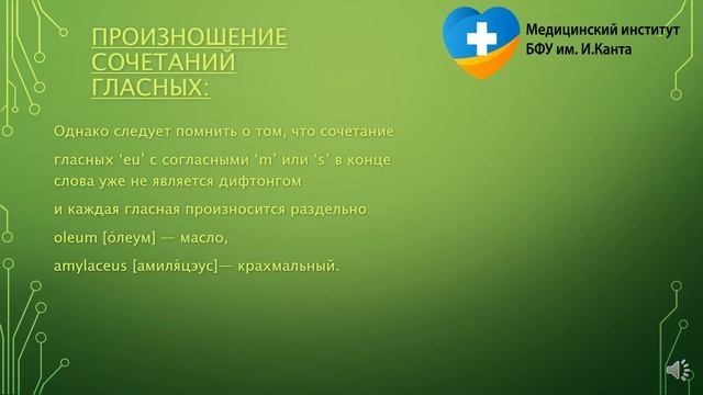 Латинский алфавит смотреть онлайн