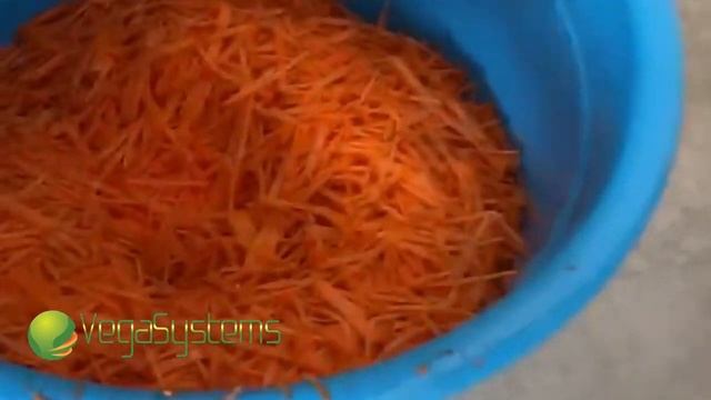 Нарезка моркови по корейски, Овощерезка Vega Strip Slicer 3000 смотреть онлайн