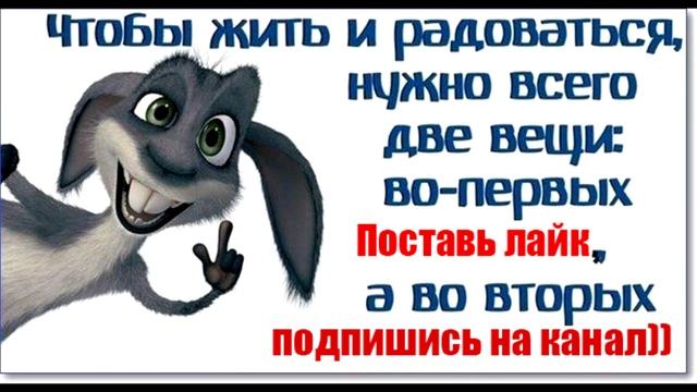 Смешные картинки пнг смотреть онлайн