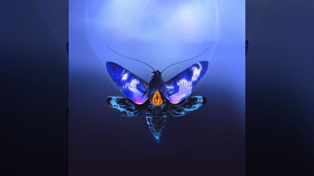 Дай мне лицо твоё (I Found You)