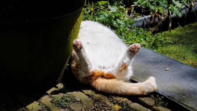 Fabrizio Paterlini - Week #5  - Autumn Stories