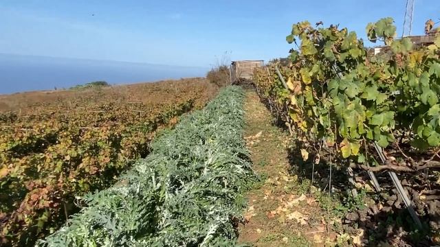 Рецепты с Фотографиями